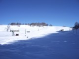 IMGP2688.JPG