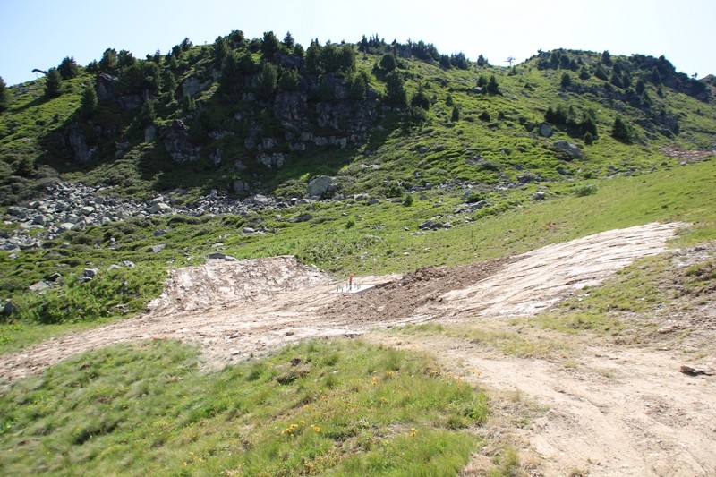 P13.JPG