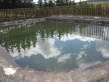 IMG_1929.JPG