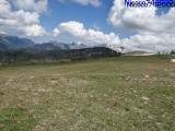 DSC01920 (Copier).JPG