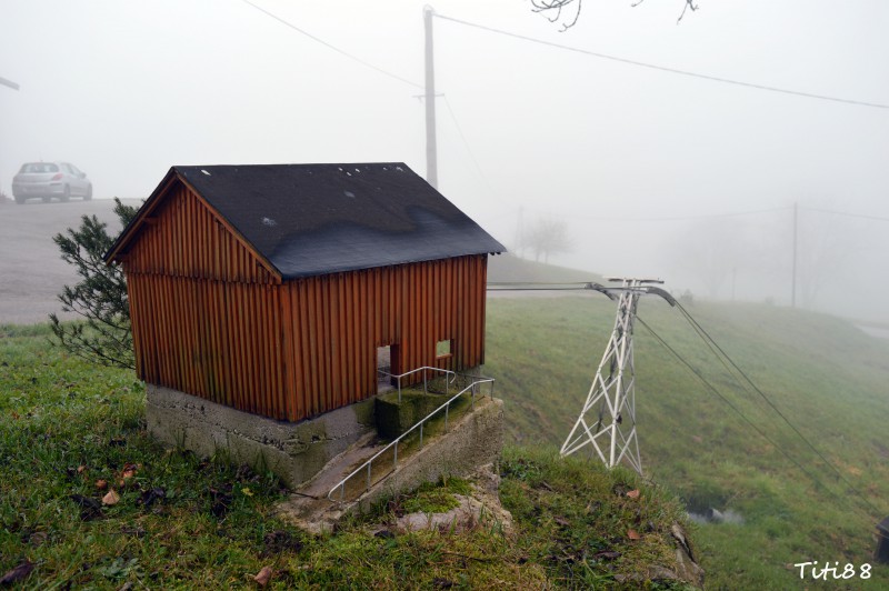DSC_0440.JPG