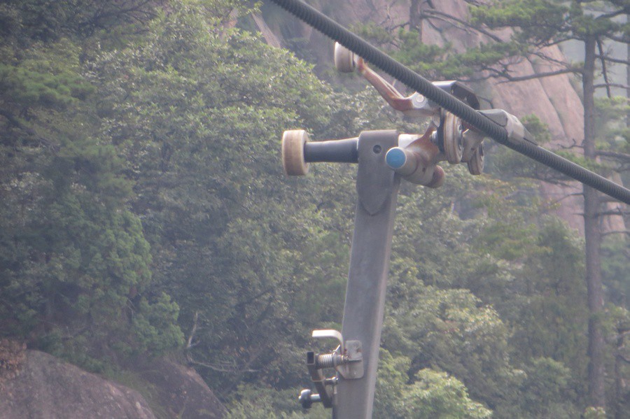 Image IPB