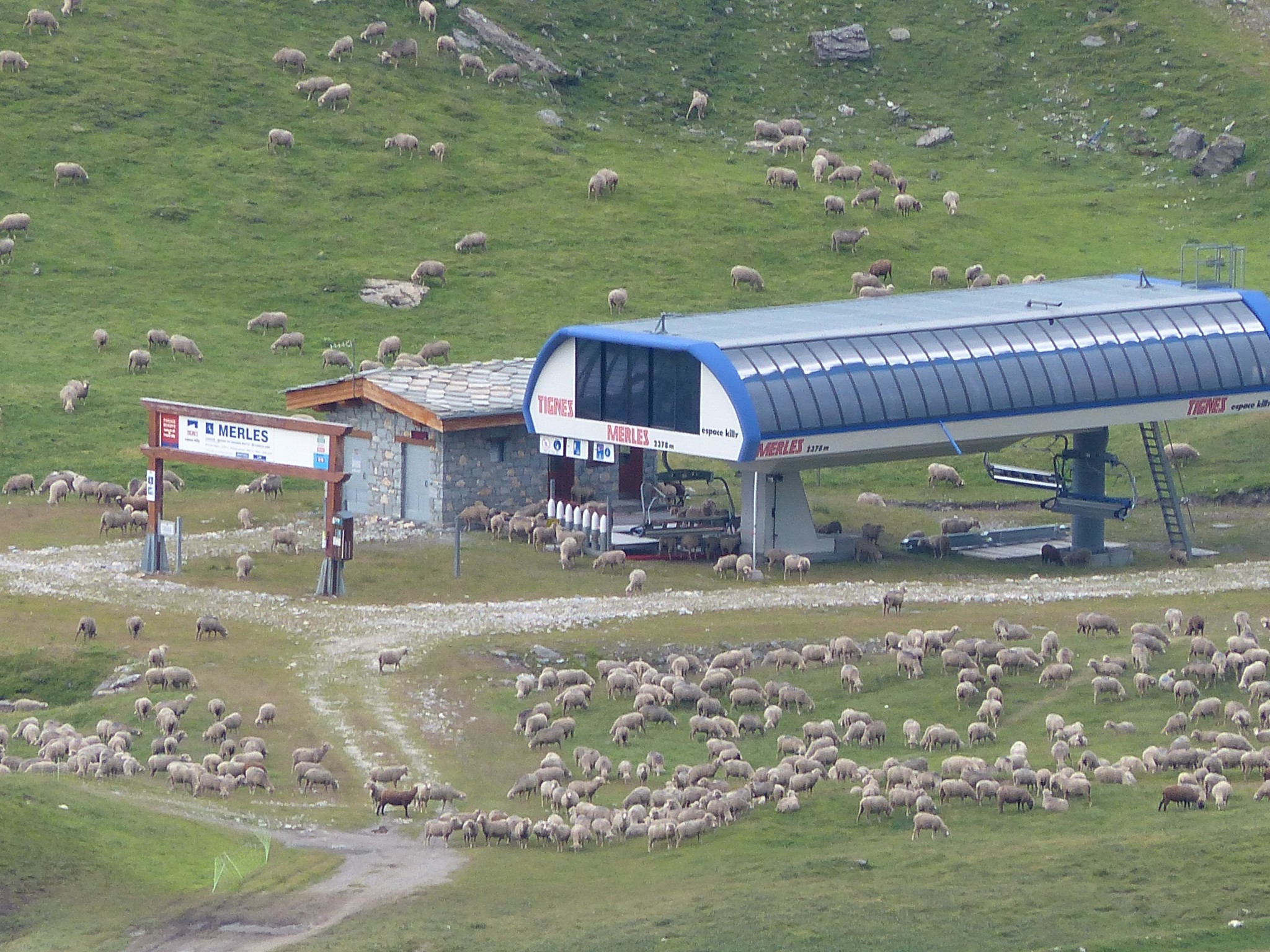 Quelques photos estivales, au pays des marmottes... Gallery_1137_2628_4639128