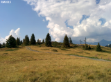 IMG_20150812_155252.png
