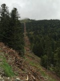 IMG_9384.jpg