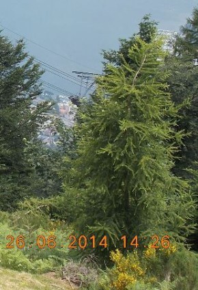 Image IPB