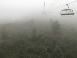 IMG_1847.JPG