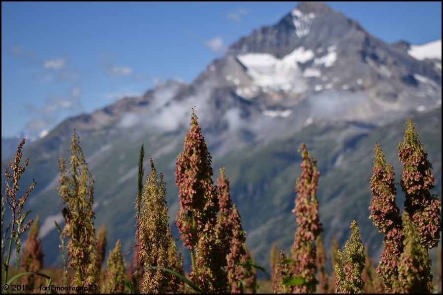 Tour de 6 jours entre Haute Maurienne et Haute Tarentaise Gallery_6029_5096_142153