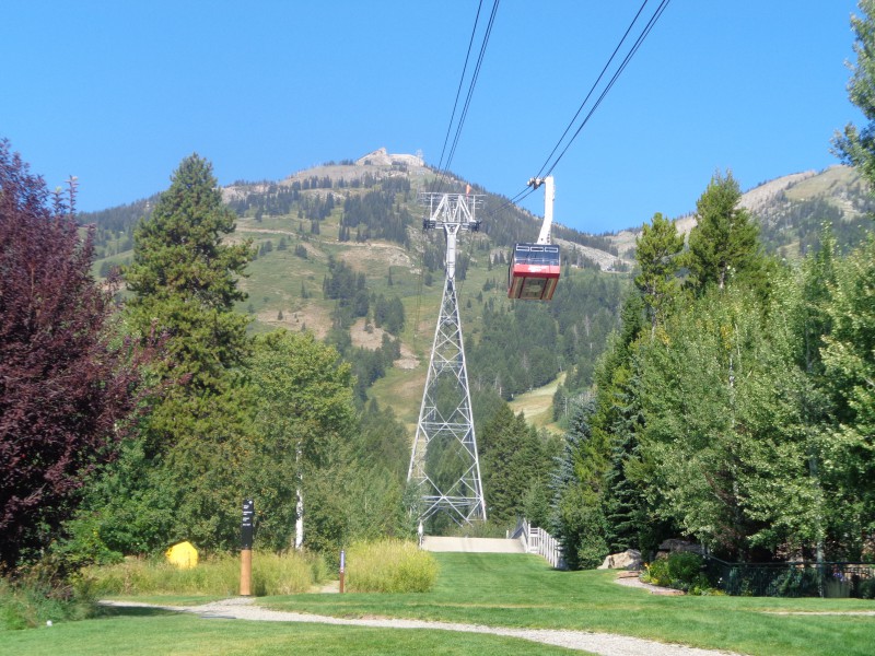 Vue du tlphrique de Jackson Hole