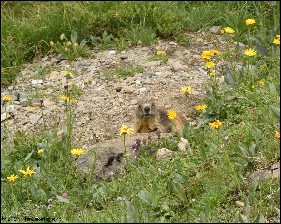 Tour de 6 jours entre Haute Maurienne et Haute Tarentaise Gallery_6029_5096_538597