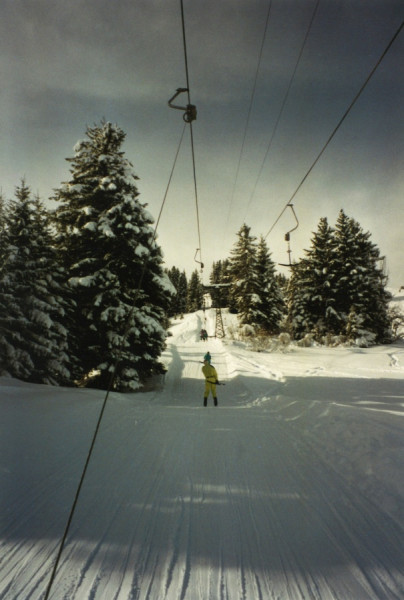 mt_chevreuils_1995_petit.jpg