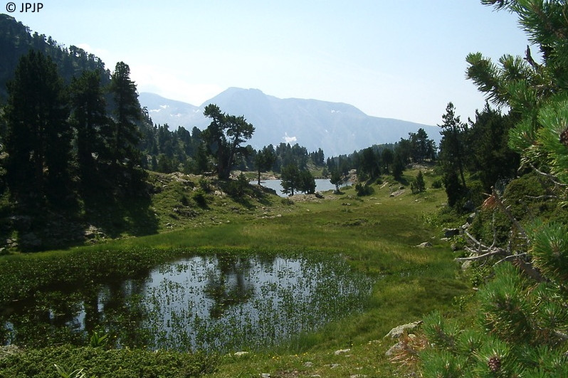 26-Lac_Achard_ete.jpg