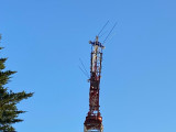 IMG_6552.jpg