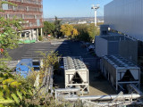 IMG_9921.jpg