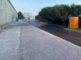 IMG_1006.jpg