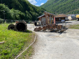 IMG_1556.jpg