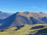 IMG_8247.jpg