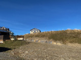 IMG_8245.jpg