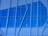 IMG_8560.jpg
