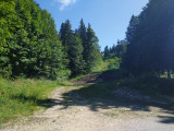 Piste noire de Mijoux
