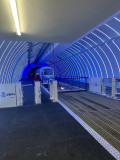 Hall funi.jpg