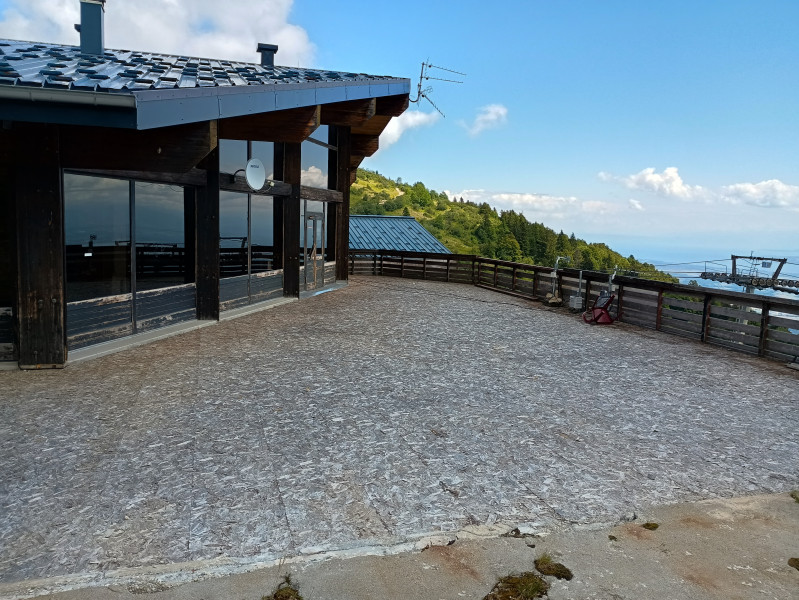 IMG_20250802_120856393_HDR.jpg
