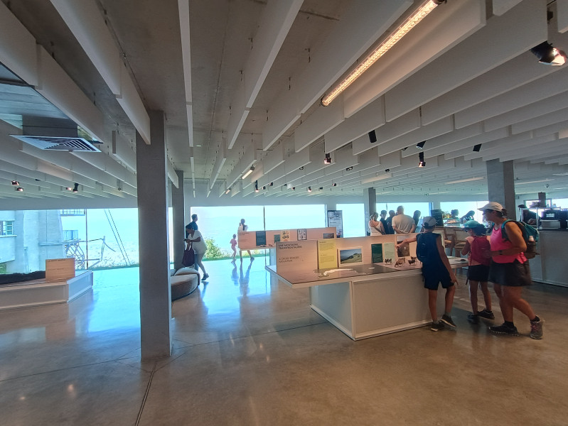 IMG_20250810_132701171_HDR.jpg