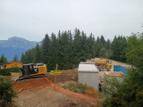 IMG_20250806_151601830.jpg
