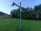 IMG_20250804_192952314.jpg