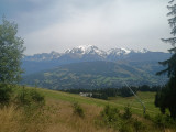 IMG_20250806_135005238.jpg