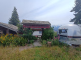 IMG_20250806_115646956.jpg
