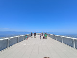 IMG_20250810_130244523.jpg