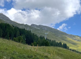 IMG_2272.jpeg