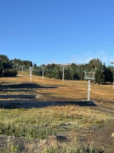 Image attache: IMG_1364.JPEG