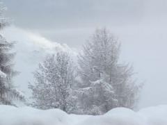 Les Biolles Photo